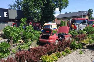 Śląskie: Co za dramat. Potężne drzewo spadło na samochód osobowy. Dwie osoby poważnie ranne!