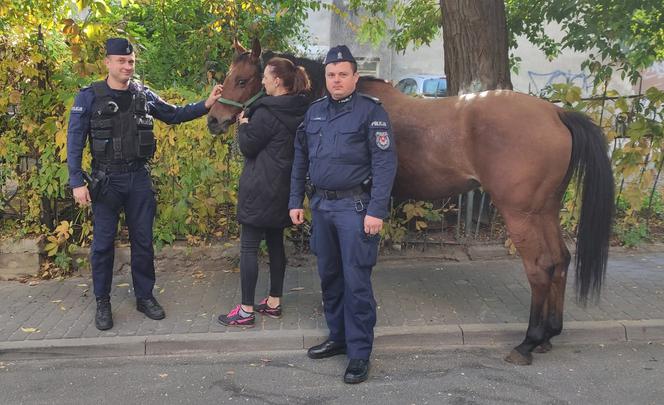 Wakara galopowała przez centrum Lublina! Ludzie byli w szoku