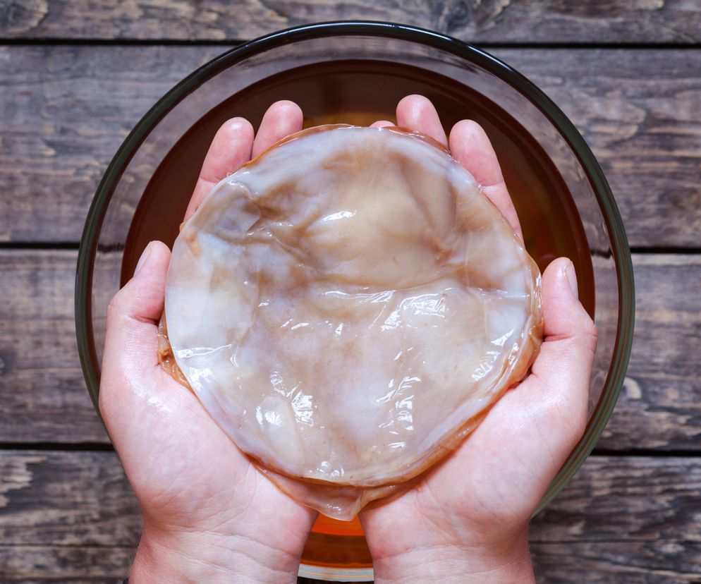 Kombucha (kombucza), potocznie grzyb herbaciany,  grzybek japoński lub - błędnie - grzybek tybetański, to kolonia  bakterii i specjalnej kultury drożdży, która należy do grupy SCOBY  (Symbiotic Cultures of Bacteria and Yeasts), czyli do grupy  symbiotycznych kultur drożdży i bakterii. Ma ona  postać galaretowatej masy w kształcie placka.