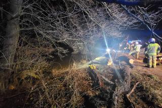 Poszukiwania na rzece wieprz