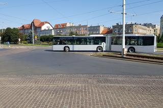 Pierwszy kurs autobusu przegubowego w Grudziądzu