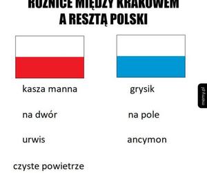 Najlepsze memy o Krakowie. Te grafiki bawią do łez 