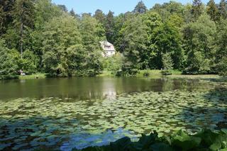 Tajemniczy park na Jakubowie, o którym nie każdy słyszał. Skrywa mroczny sekret [ZDJĘCIA]