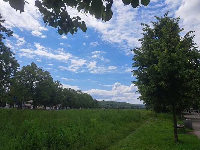 Błonia w Krakowie