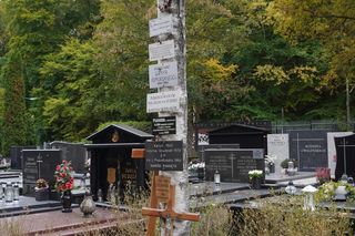 Cmentarz Gdynia Witomino