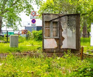 Domki fińskie na Polu Mokotowskim w trakcie odbudowy