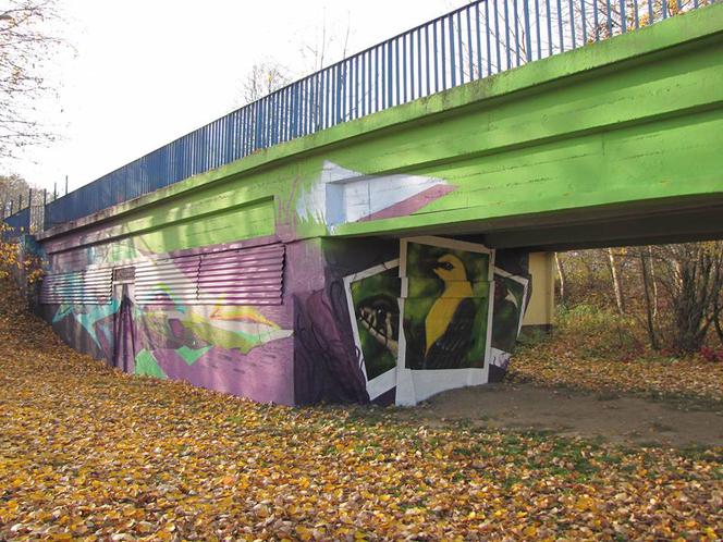 W rejonie Lisiej Góry w Rzeszowie powstał nowy mural. Jest piękny!