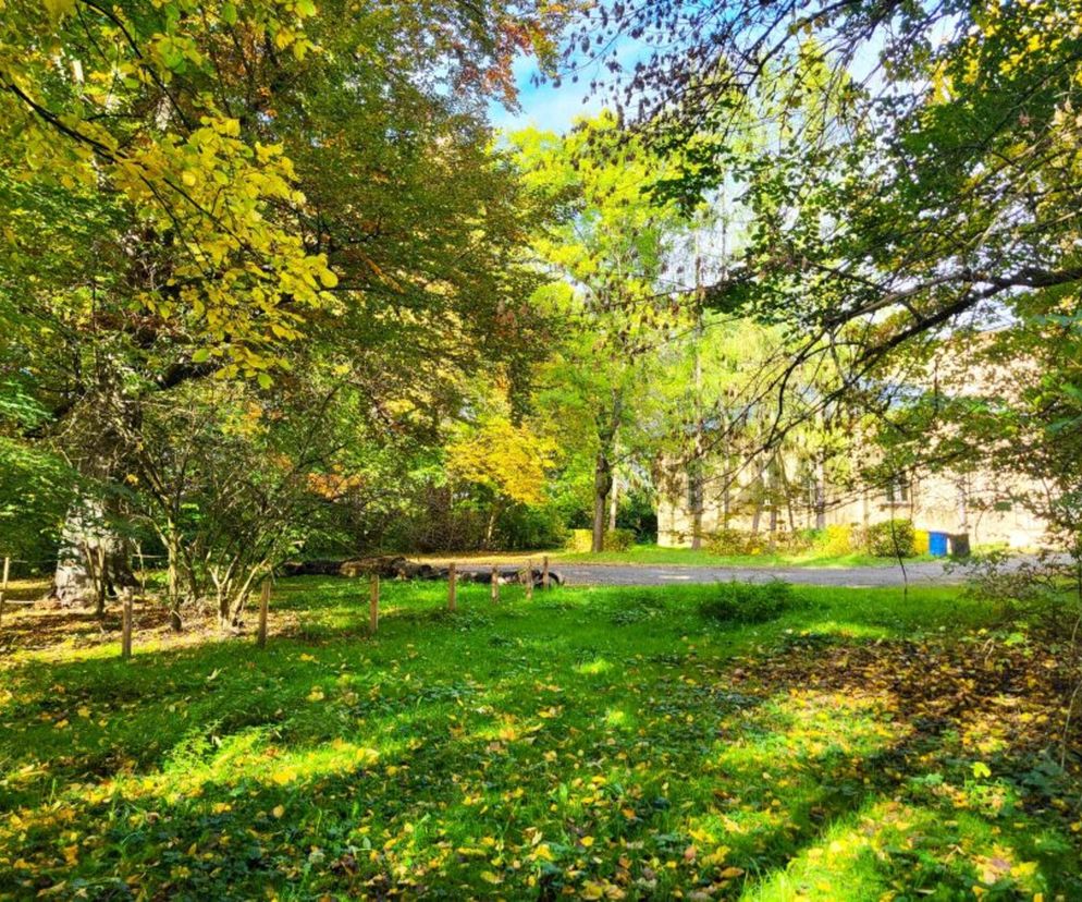 Park w Krakowie przejdzie spektakularną metamorfozę za miliony! Pokazali jak będzie wyglądać