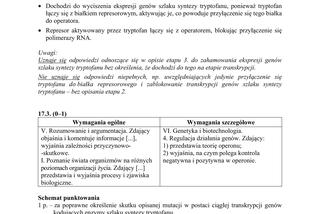 Matura 2019 z biologii [ARKUSZE CKE, ODPOWIEDZI]