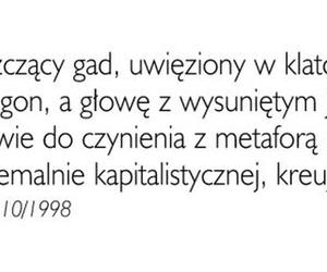 Stefan Kuryłowicz