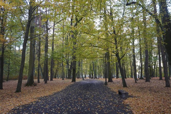 Park Lubomirskich w Białymstoku jesienią 