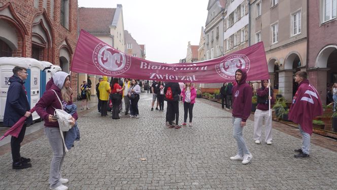 Kortowiada 2025. Studenci nie zawiedli. Zobacz najlepsze przebrania z Parady Wydziałów!