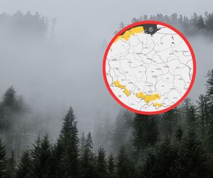 Gęsta mgła nadciąga nad Pomorze. IMGW wydało żółte alerty. Zobacz mapę! 