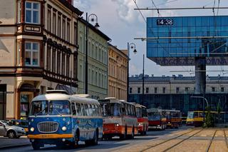 Zlot zabytkowych autobusów 2021. Kultowe ikarusy zaparkują w Bydgoszczy!