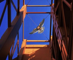 Słoneczne Tarasy, Kilińskiego 12 w Łodzi