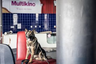 Poznańska policja odbyła ćwiczenia w zamkniętym Multikinie 51