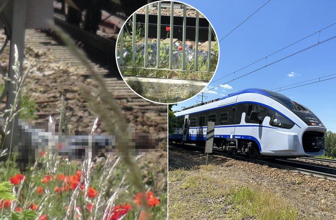 Tragedia na moście Gdańskim! Pieszy wpadł pod pociąg, nie było szans na ratunek