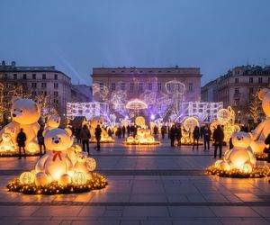 Bielsko-Biała Dzień Plusz.jpg