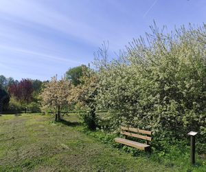 Nadleśnictwo Marcule blisko świętokrzyskiego
