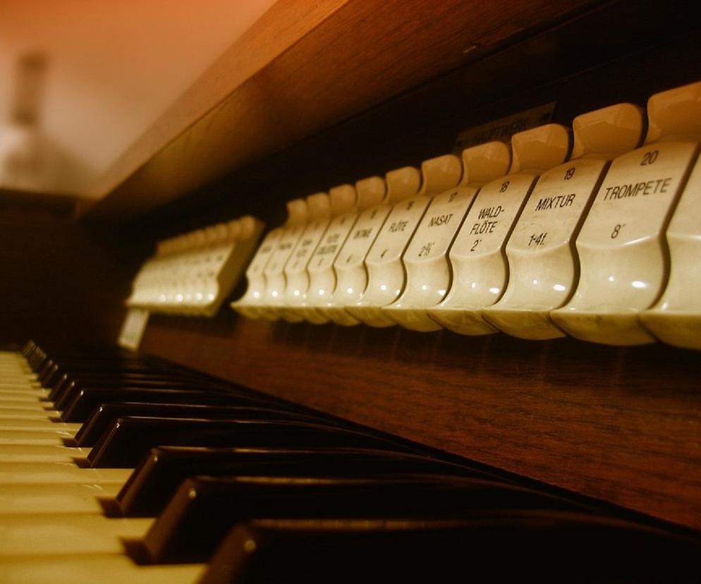 Lubelskie - kazimierskie organy, Podwojski i orkiestra wojskowa