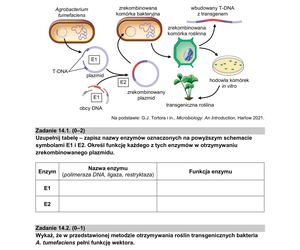Matura 2025: biologia 9.05.2025. Arkusze CKE i odpowiedzi [Formuła 2015]