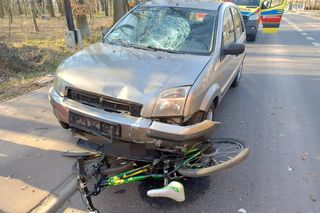 12-letni Sambor zobaczył kolegów po drugiej stronie ulicy, skręcił rowerem wprost pod auto
