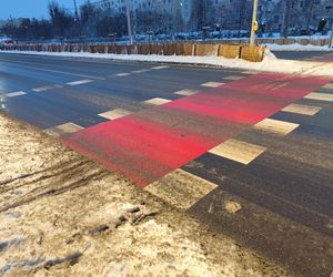 Śnieżna noc za nami. Czy zima zaskoczyła mieszkańców Poznania? 