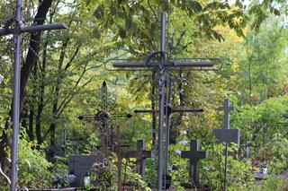 Lubelski cmentarz ukryty wśród drzew. Pochowani tu są mariawici. Zobacz