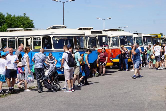 Zlot zabytkowych autobusów 2022 w Bydgoszczy [ZDJĘCIA] 