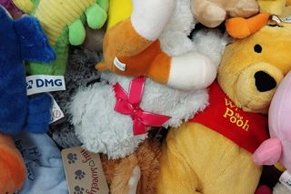 Przeworskie dzieci wysłały misie do Kamerunu.