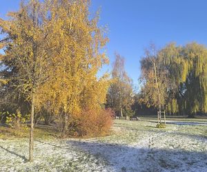 Pierwszy śnieg w tym roku. Pomorze pokryte białym puchem