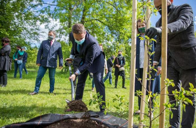  Rafał Trzaskowski posadził jabłonie na Polach Mokotowskich