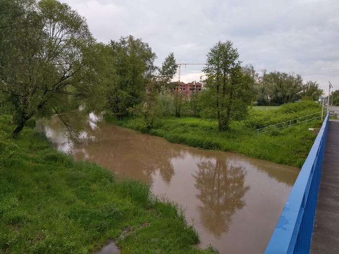 Wezbrana woda w rzekach w powiecie rzeszowskim