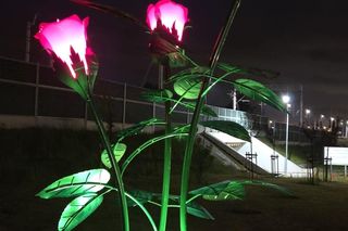 Świecące róże w Kostrzynie