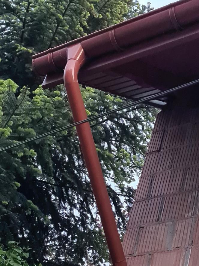 Oszukani metodą na rynnę