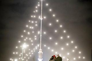 Holandia. Zapalili największą choinkę świata. Ma prawie 370 metrów! 