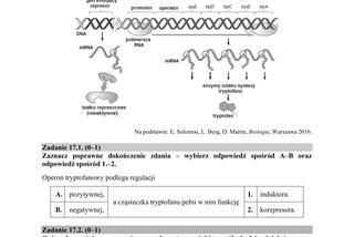 ARKUSZE CKE - Matura biologia 2019