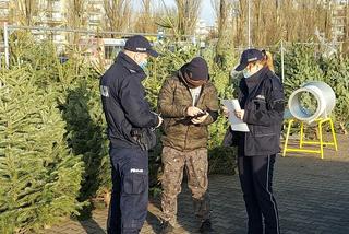 Akcja Choinka w Koszalinie