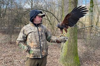 Drapieżnik lata nad „Aleksandrią”. Jastrząb Grażyna płoszy gawrony
