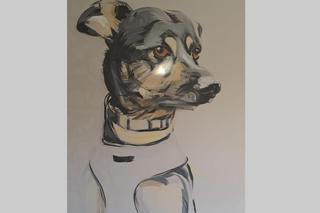 We Wrocławiu powstał Dom dla Skrzywdzonych Zwierząt. To pierwsza taka inicjatywa w Polsce. Sprawdź, jak zostać opiekunem tymczasowym