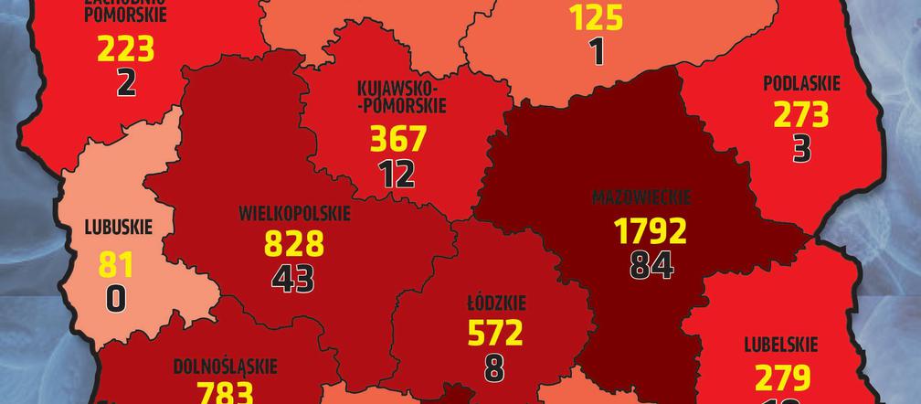 Koronawirus w Polsce. Najnowsze dane 16.04 godz. 10