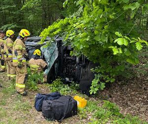Auto zderzyło się z żubrem. Dwie osoby w szpitalu