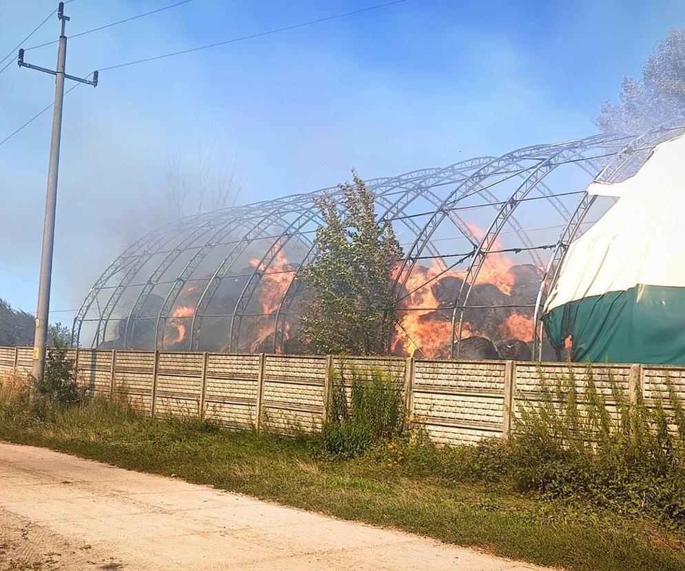 Pożar pod Krosnem Odrzańskim