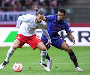 Cody Gakpo - gwiazda Holandii