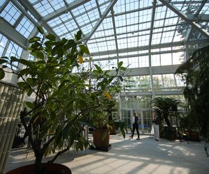 Nowa oranżeria w Ogrodzie Botanicznym UJ. Zastąpiła poprzedniczkę z XIX wieku 