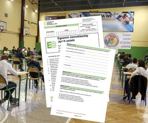 Egzamin ósmoklasisty polski 2025 wszystkie odpowiedzi + arkusze cke do ściągnięcia w PDF, JPG