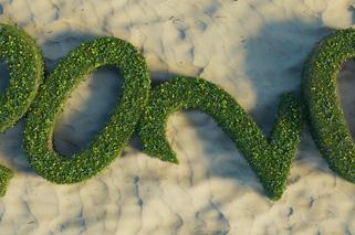 QUIZ. Najważniesze NIEKORONAWIRUSOWE wydarzenia 2020 roku. Niby tak niedawno, a pewnie kilku błędów nie uda ci się uniknąć