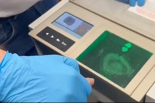 Zagadka morderstw seniorek rozwiązana