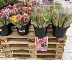 Dzień Kobiet 2023. Ceny kwiatów w Krakowie. Ile trzeba zapłacić za kwiaty w Biedronce, Lidlu, Auchanie?