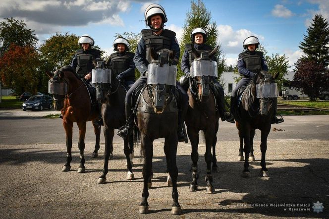 Policyjne konie zdały egzamin!